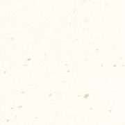 Corian white jasmine